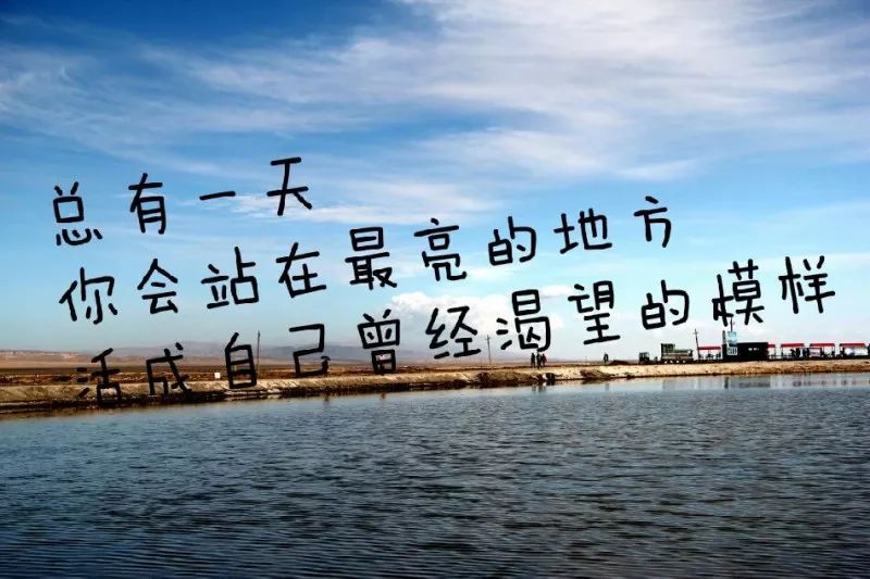 风不懂云的漂泊,雨不懂雪的落魄,心若没栖息方向,到哪都是流浪