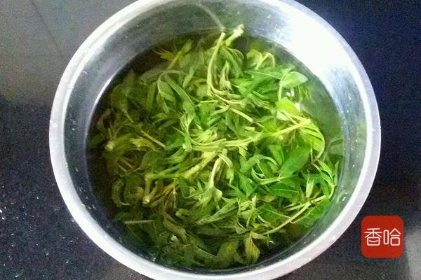 怎么腌香椿芽咸菜（​3勺油一把盐这样腌的香椿芽爽脆）