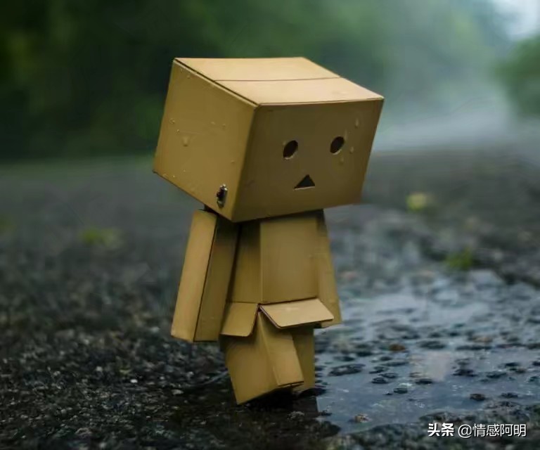 十一是遗憾,十二是难过,十三是深爱