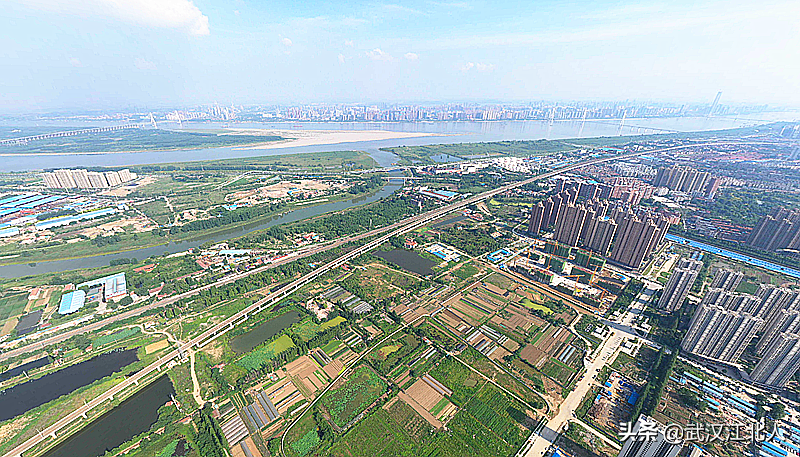 长江大学城，该放在武汉的郊区黄陂新洲，还是放在城区江岸呢？