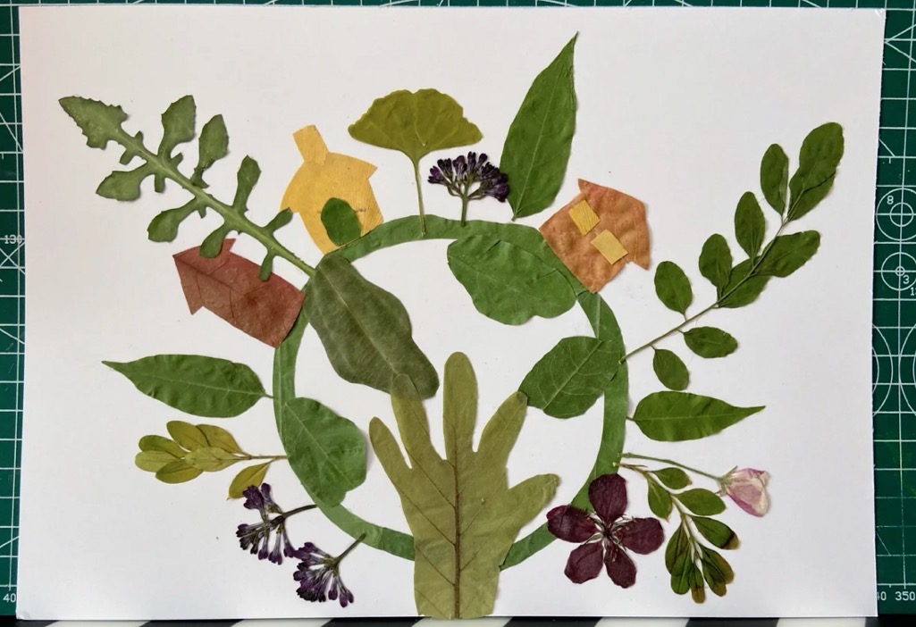捡一袋子树叶，树叶贴画做起来，不花一分钱的早教课，效果惊艳