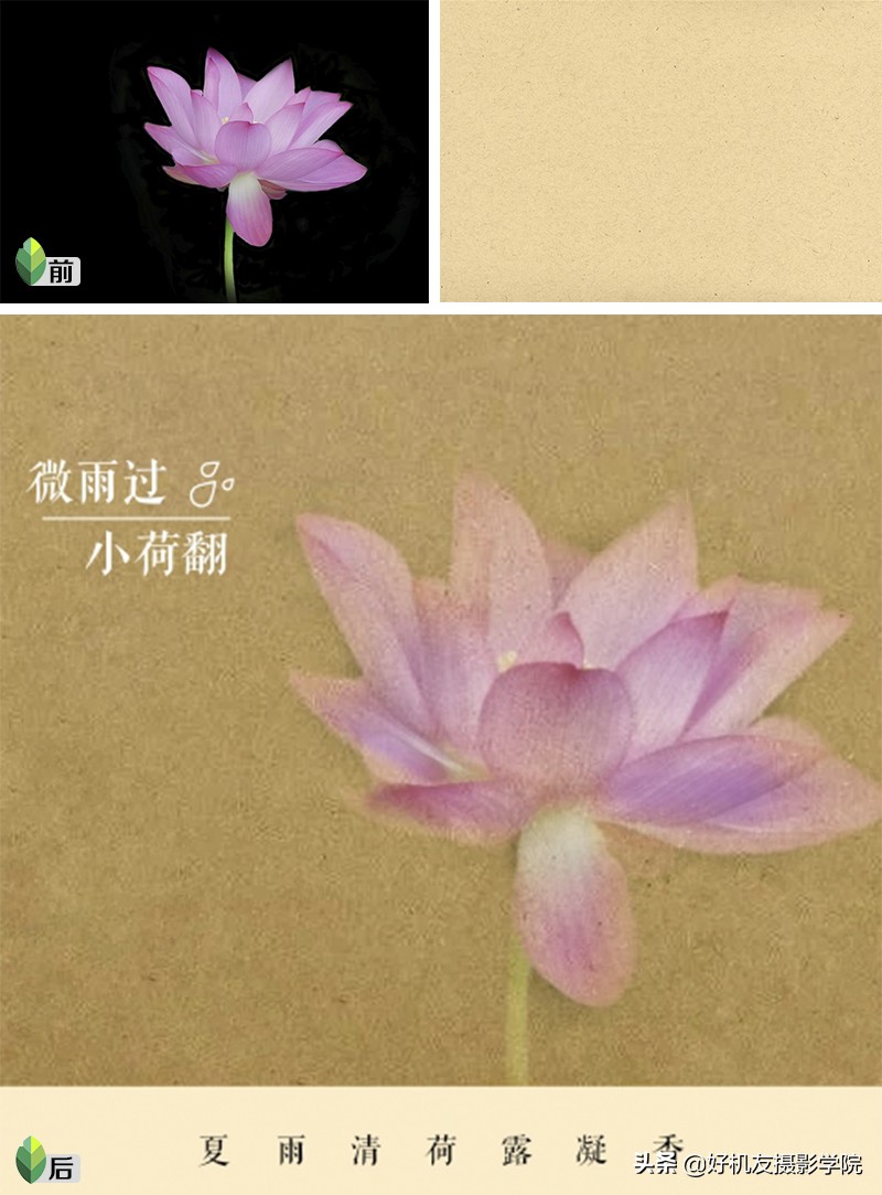 提升社交形象、玩转微商、参加摄影赛，这种手机修片技能将成主流