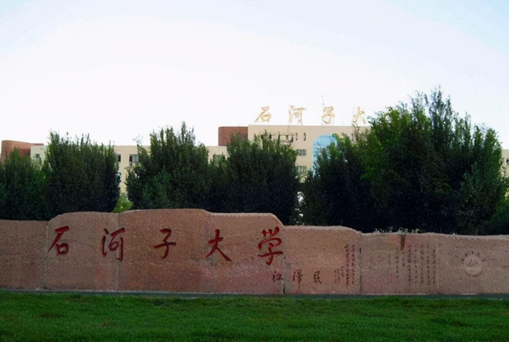 被打入冷宫的4所211大学，在努力分配工作，却鲜有问津，适合捡漏