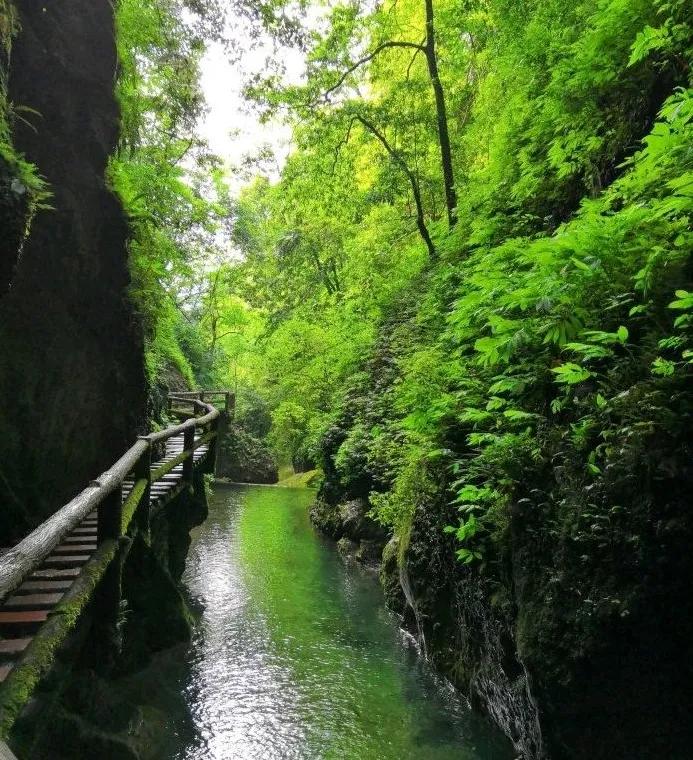 青山绿水，问道青城山