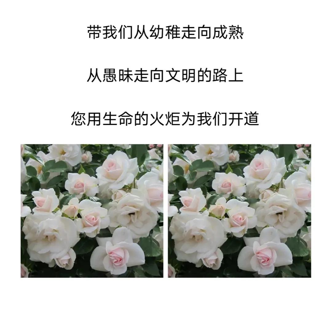 9月10日赞美老师的句子