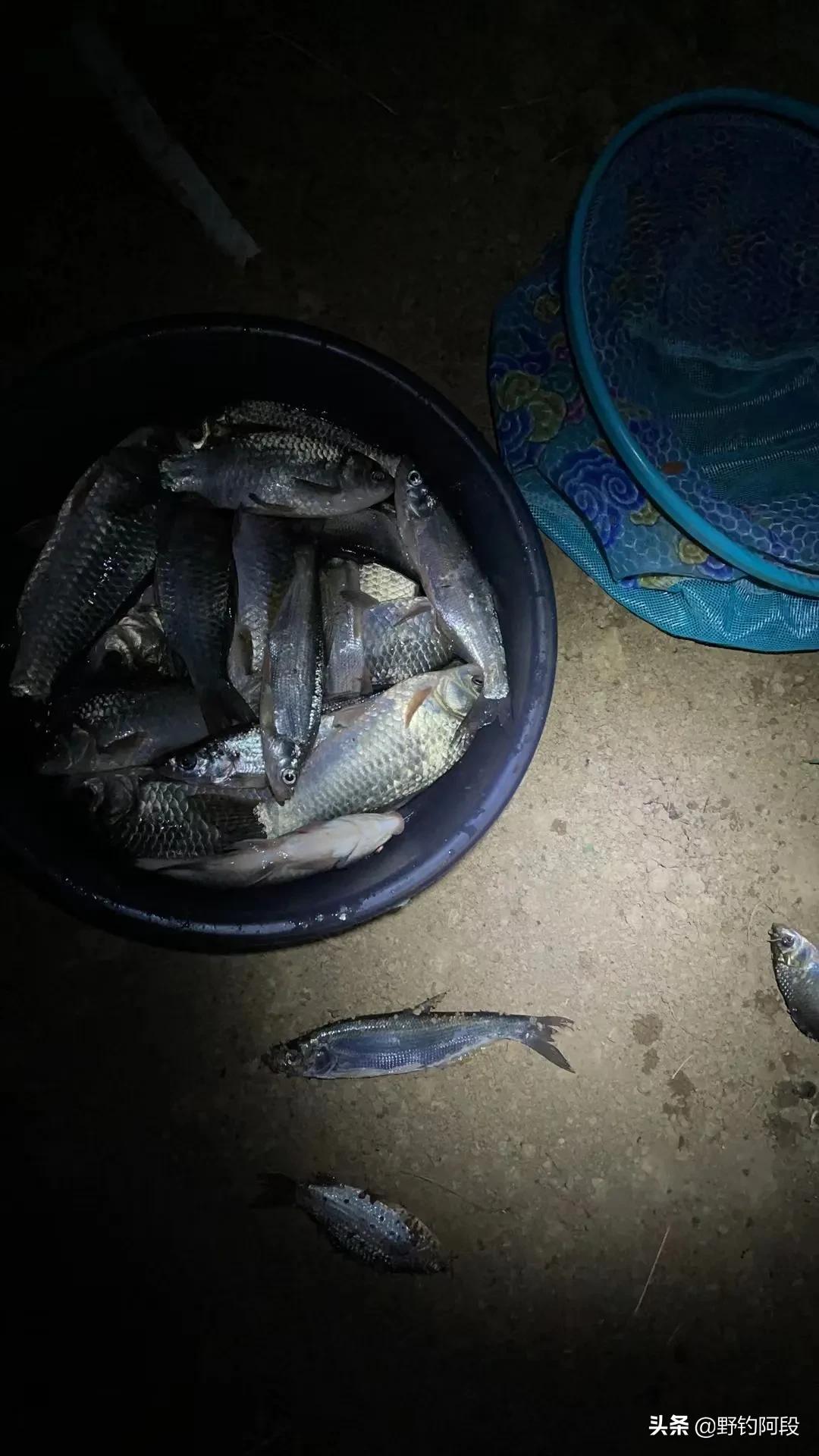 老钓友口中经典口头禅，别告诉我你没说过