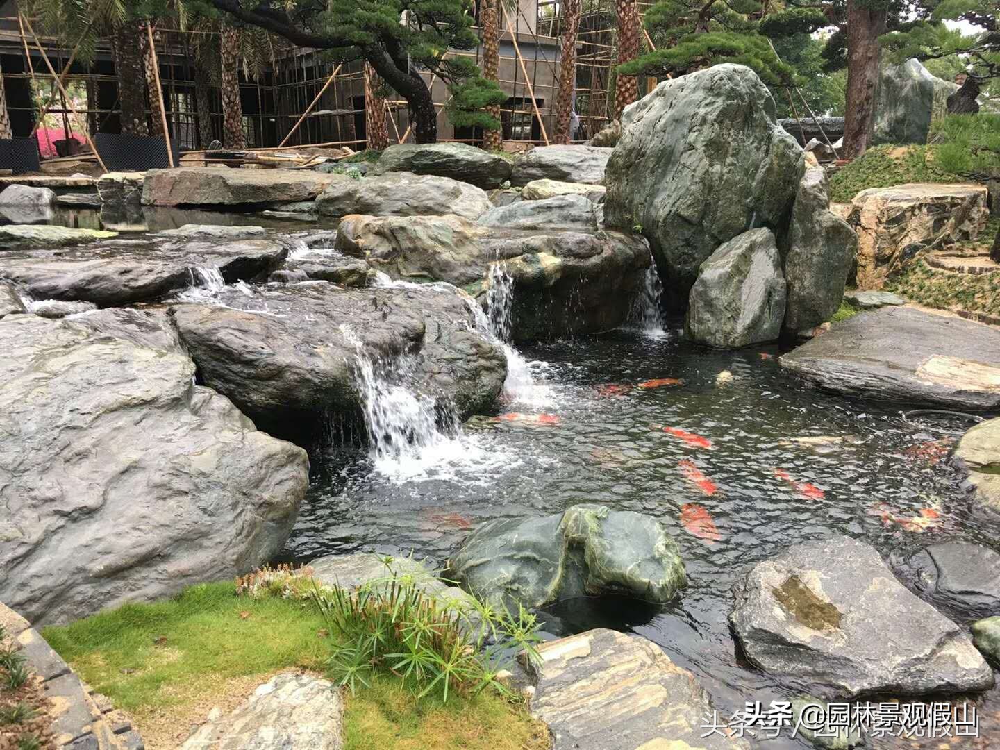 为什么庭院鱼池越来越受欢迎？听听设计师们怎么说