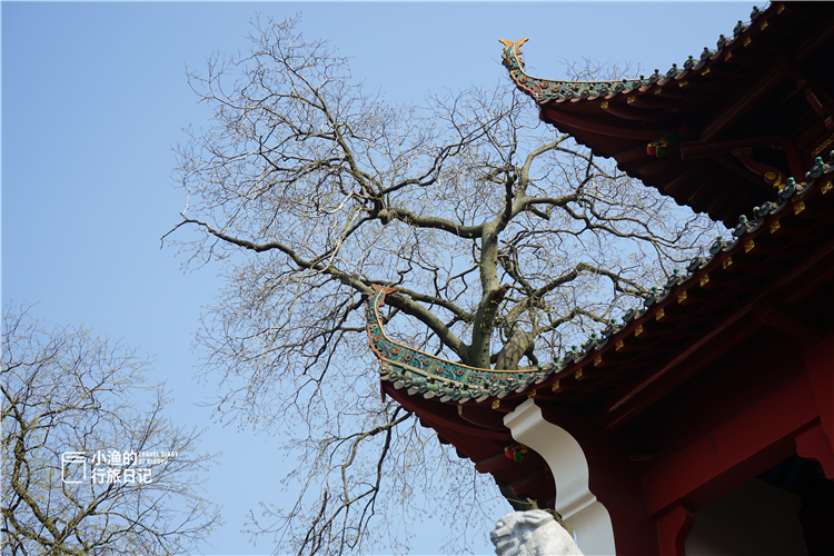 武汉还没有从黄鹤出来的秘密，没有游客，古老的押韵很长。