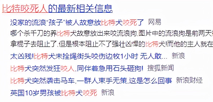 比特犬的黑暗历史，看完就知道它为什么这么猛了