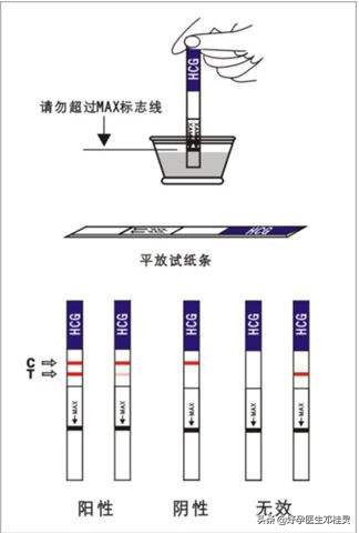 2020好孕新生第一步：如何正确使用排卵试纸精准计算你的排卵期？