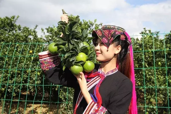 琼中县属于哪个市（一座神秘又清新的小城）