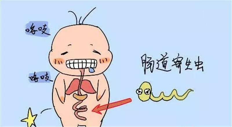 “磨牙”是怎么回事?听我来分析分析