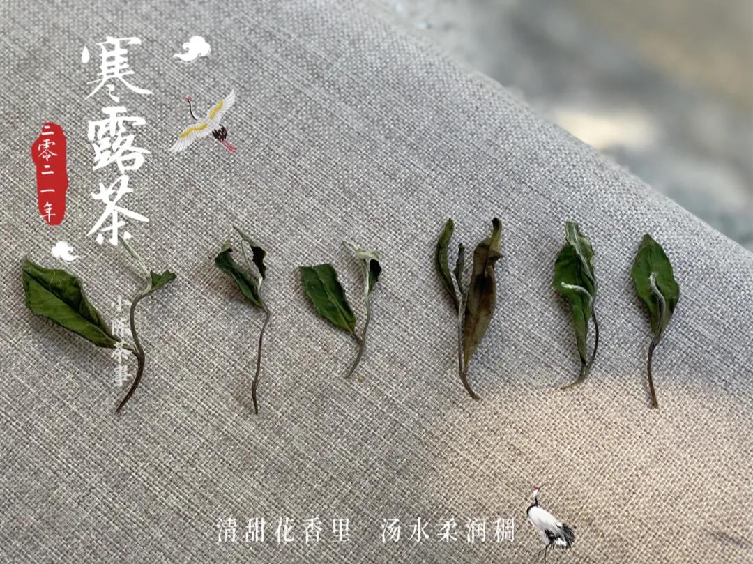 7年陈的老寿眉白茶，一饼只要50元，还有这种好事？