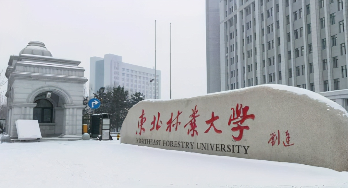 这5所“国”字号农林大学，有一所艺考录取成绩很低适合捡漏