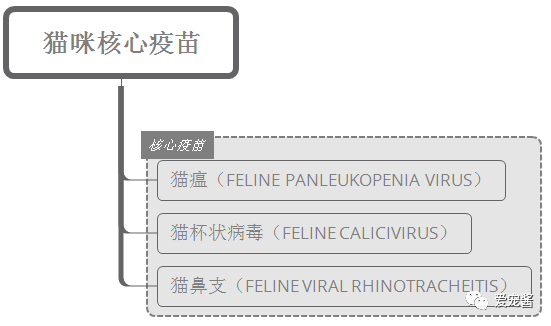 自家猫咪需要打狂犬针吗？