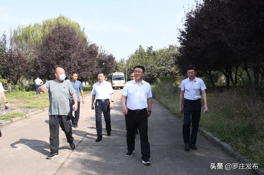 就在今晚，价格大幅上调！来了，罗庄新闻直通车