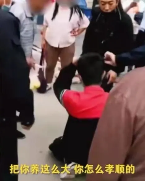 不懂感恩的孩子,再优秀也没用