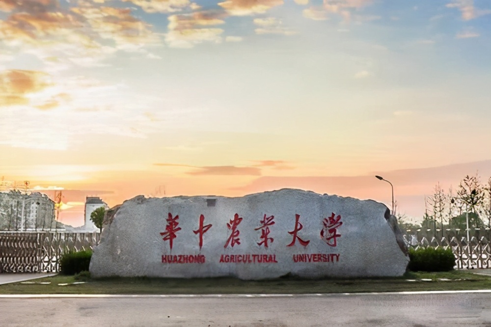 116所211可分为4个等级，第4级的高校，就业容易被挑剔