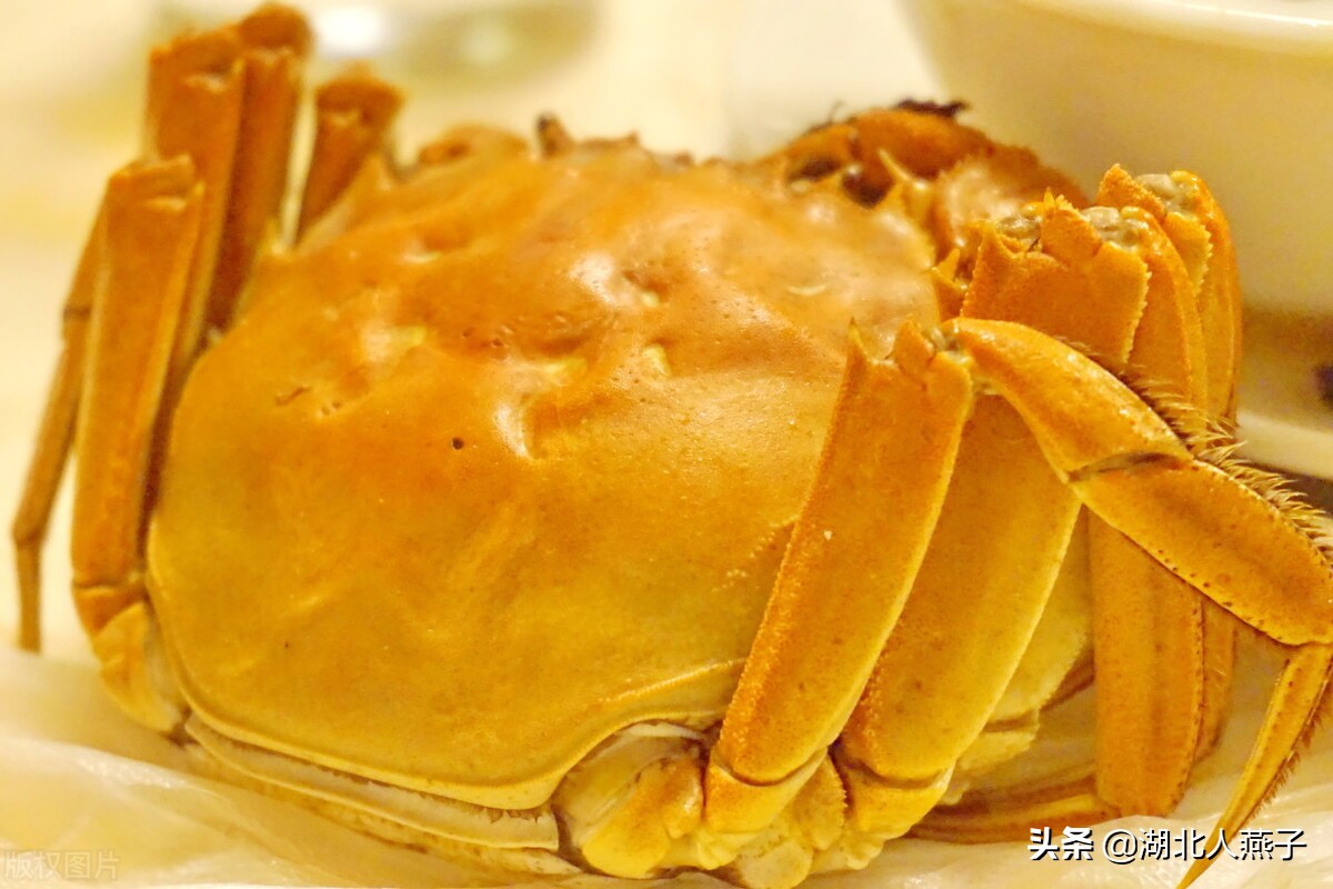 上海本帮菜菜谱大全（上海最出名的15道名菜）