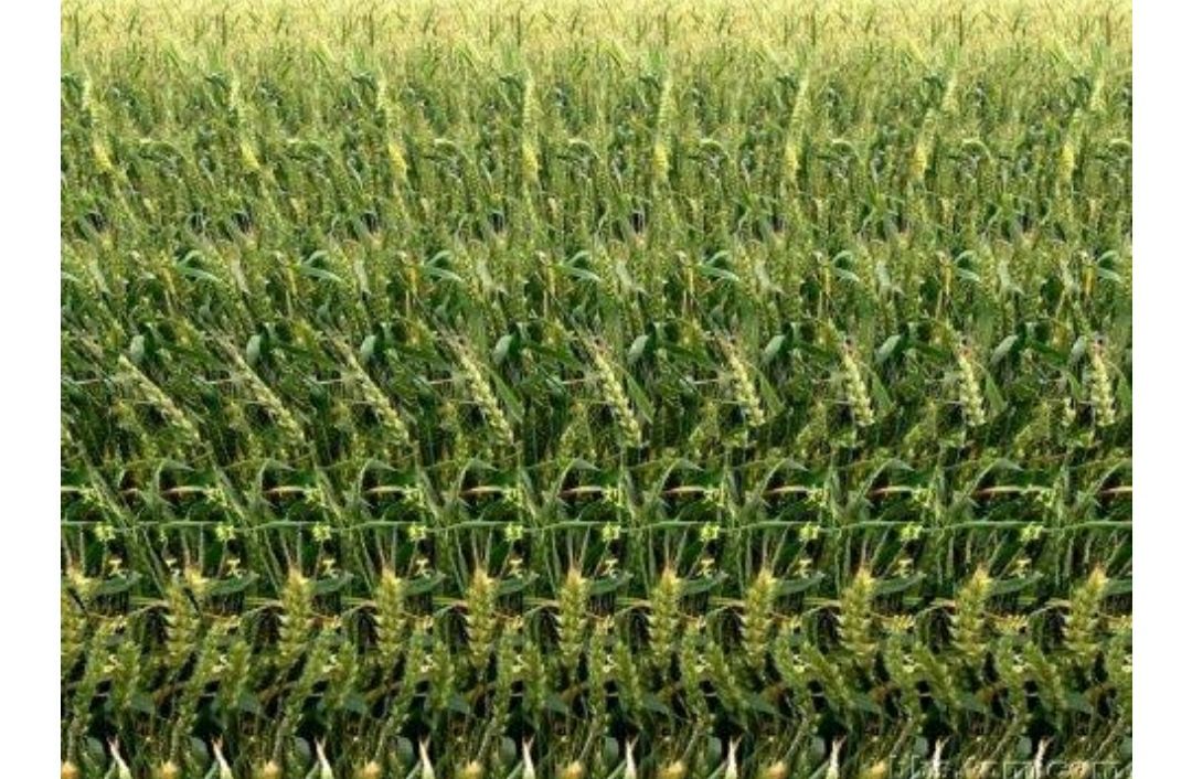 三围立体图(有趣又好看的三维立体图)