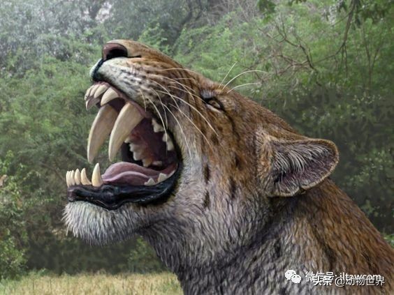 10种曾与人类同行的巨型野兽