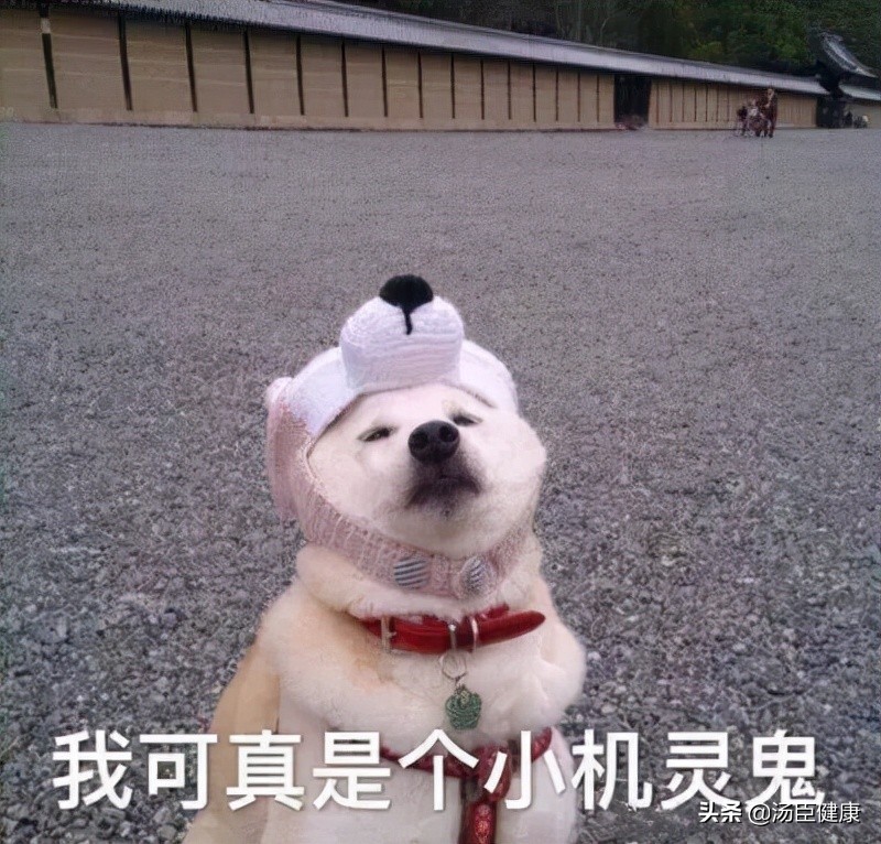 2021年冬季必拍的关节风大片