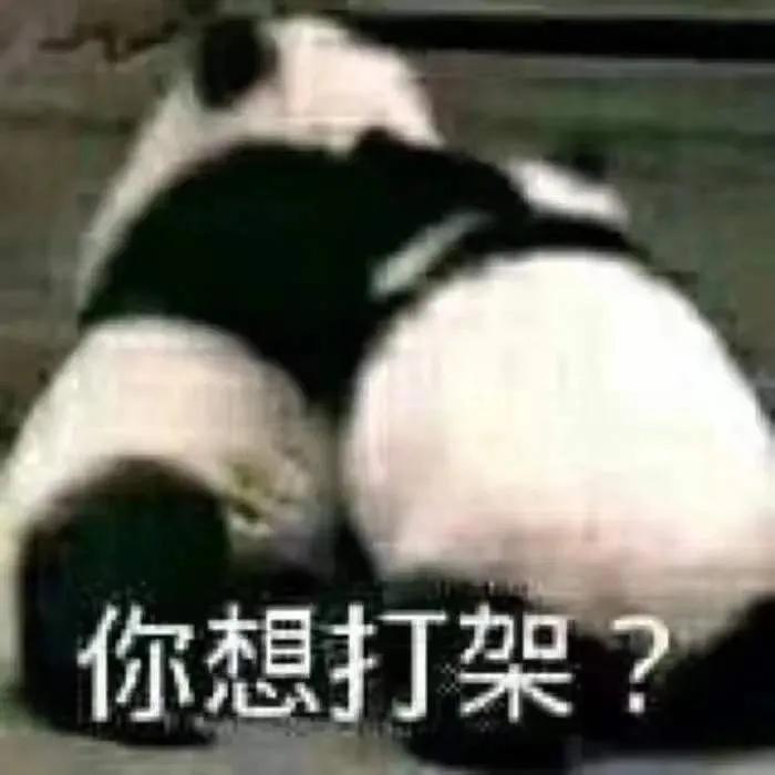 养熊猫读什么专业？来川农大就对了