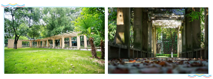 2020届学弟学妹，武汉外语外事职业学院在找你