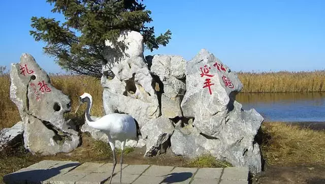 东北游学报名倒计时3天