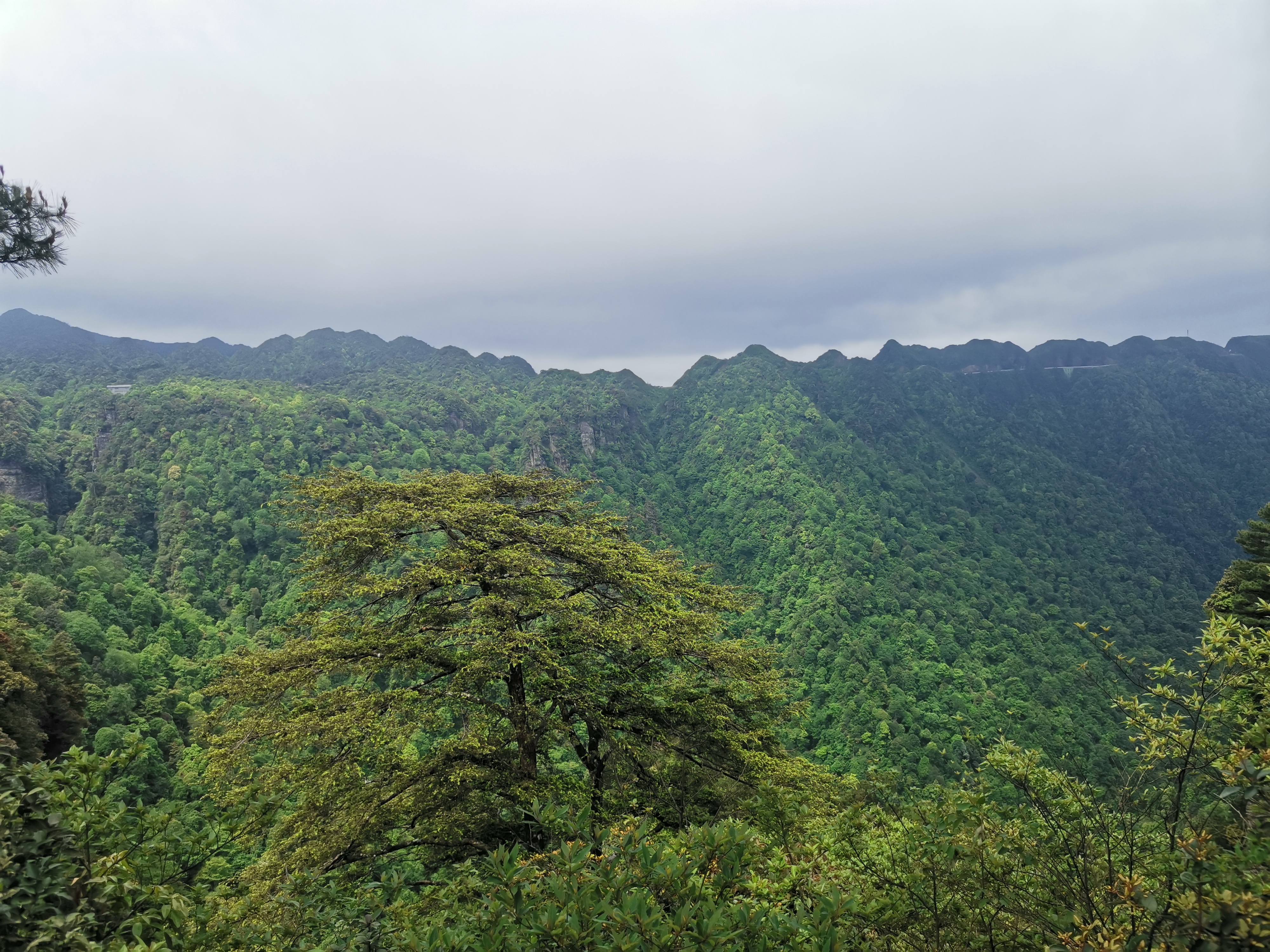 周末带上家人自驾旅游—广西大明山