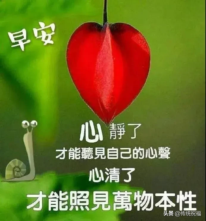 采摘一缕阳光，照亮你的每一天；采摘一缕芳香，让香气伴你入眠