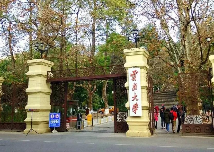 这3所211高校入选双一流B类大学，实力雄厚，都是“潜力股”