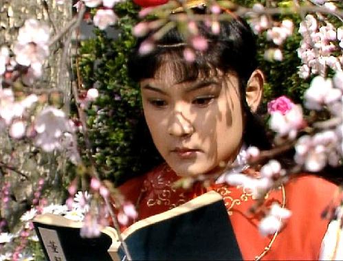 贾宝玉vs纳兰容若,一看家世,二看性情,三看情感经历