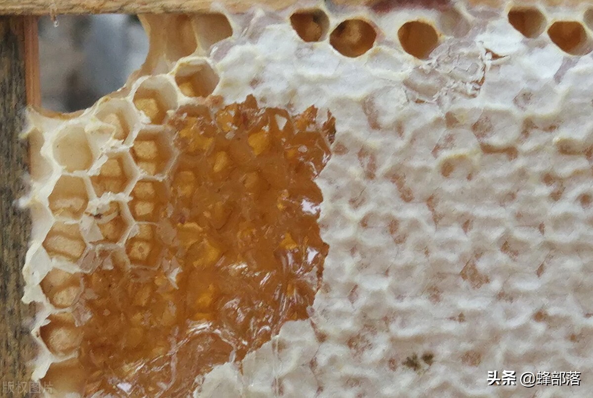 什么样的蜂蜜才是最好的？满足3个条件，哪种最好自己决定