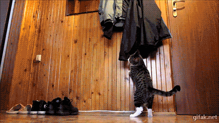 这就是做财务的你…哈哈哈哈哈