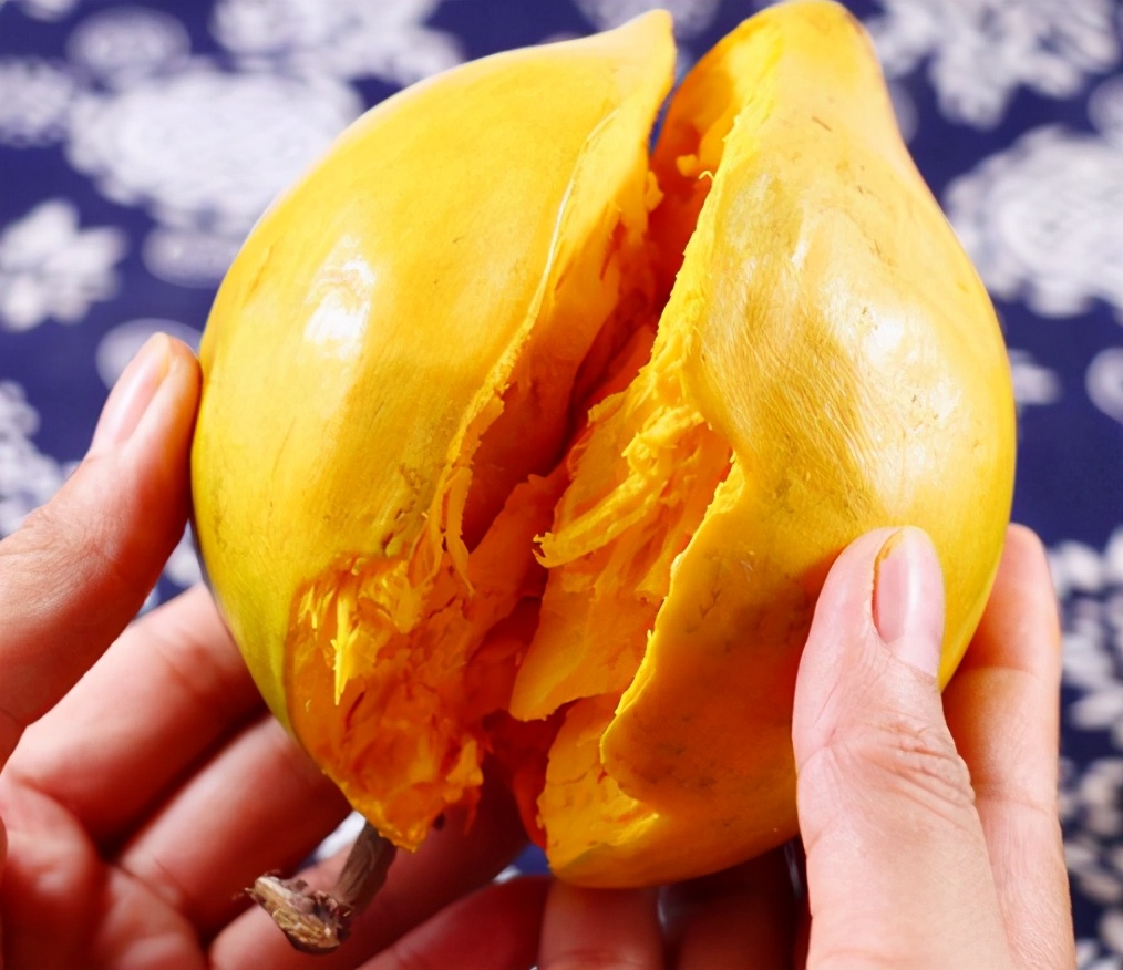 蛋黄果:果肉像蛋黄,吃起来却像榴莲,推广种植多年却依旧不火