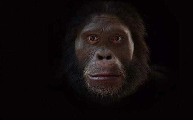 y染色体电影剧情「梳理」 _晶羽科技