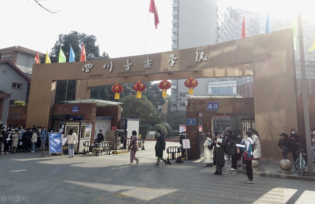 四川音乐学院2020新生分析，四川占37%，音乐与舞蹈类专业占主流