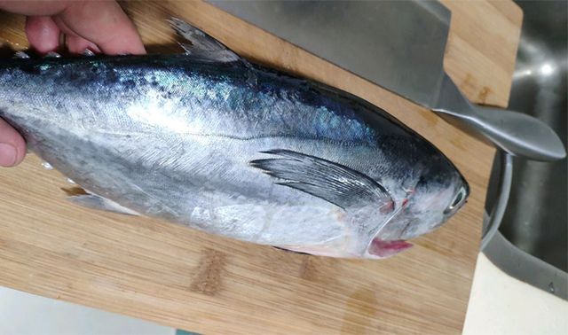 金槍魚(yú)多少錢(qián)一斤,金槍魚(yú)多少錢(qián)一斤2021