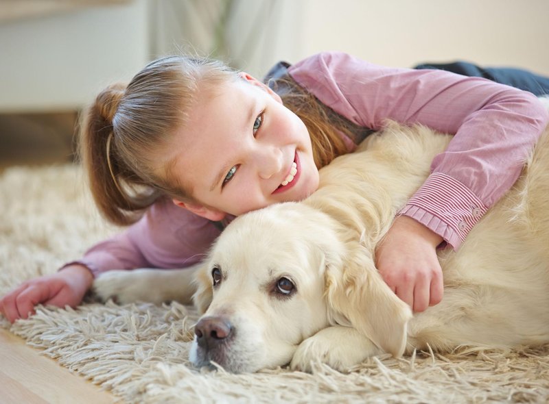10 种最适合儿童的犬种，非常适合有小孩的家庭 - 对孩子友好且可爱