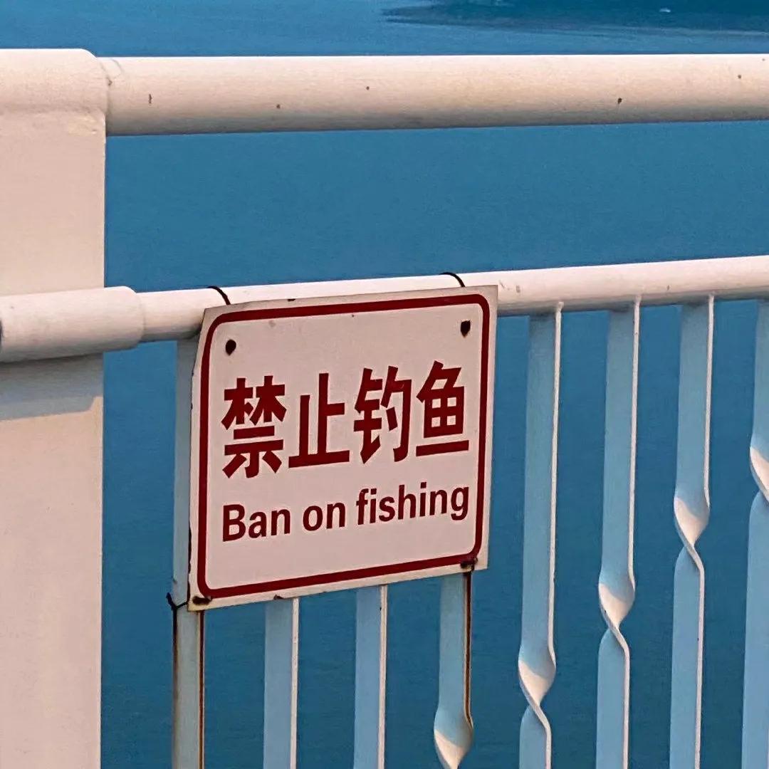 留一句你最爱的歌词吧