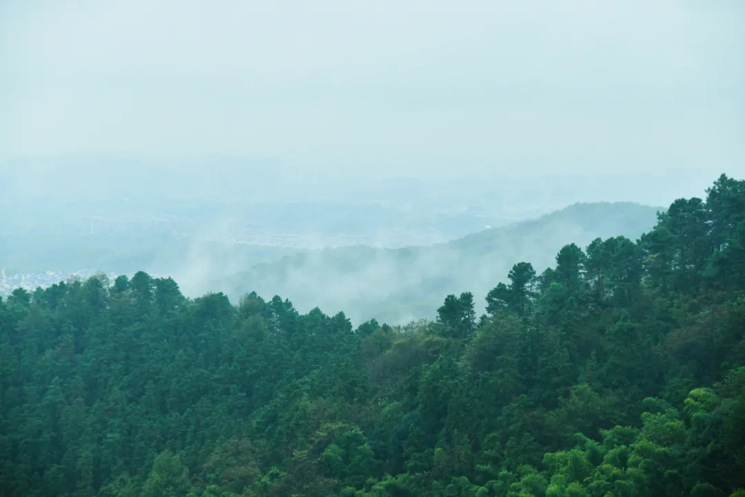 敬亭烟雨，「雨后美景」藏不住......