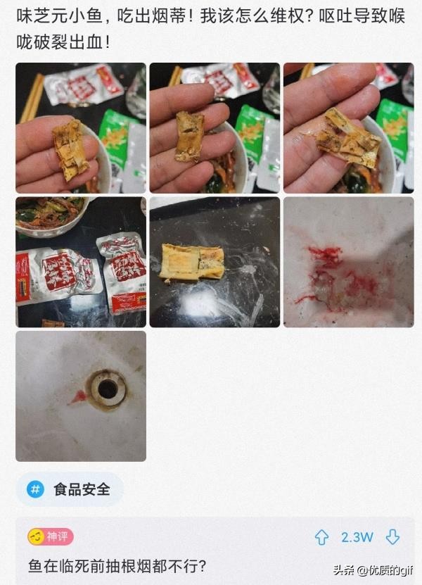 “大哥这驾照，我也是佩服了，警察叔叔都看懵了！”哈哈哈