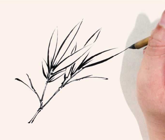竹子表现技法：怎么样双勾法画竹子，分步骤讲解画法，简单易学！