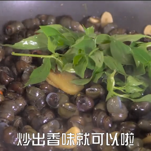 炒田螺，还在直接焯水就错了，掌握这个小窍门，口感鲜嫩还不腥