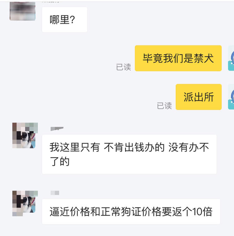 申晨间  | 3800元！有人在闲鱼公开叫卖“为上海烈性犬办正规狗证”