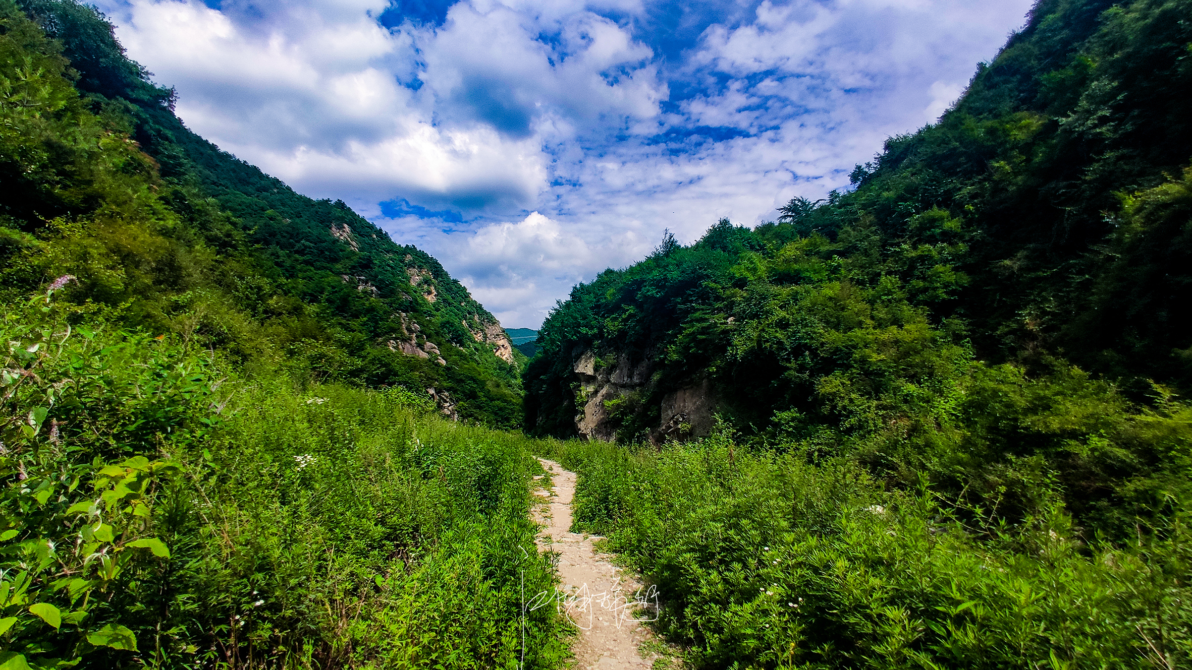 秦岭最清凉的人间秘境，一路都是美景，这才是最舒服的自驾游线路