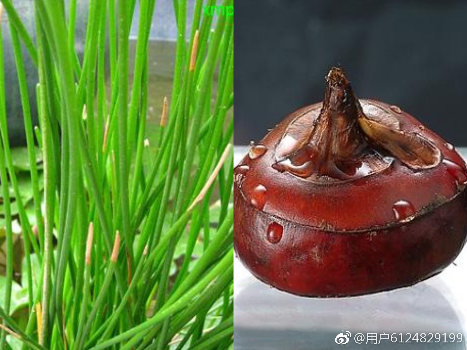 神奇的汉字(读音相同,含义相通之55)