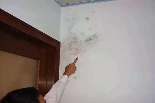 家居界微整形，几十块让家焕然一新