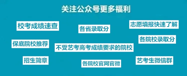 云南师范大学商学院2021年艺术类专业考试成绩查询公告